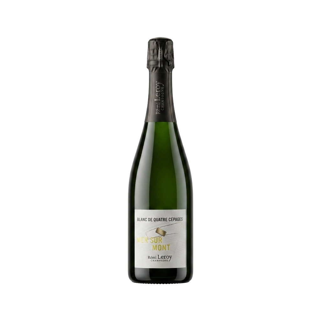 Remy Leroy 'Mer Sur Mont'