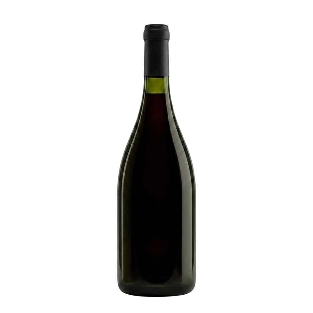 TEST - Champagnotta