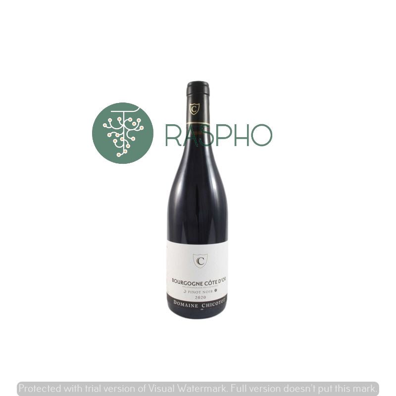 Domaine Chicotot Nuits St Georges Les Chermottes