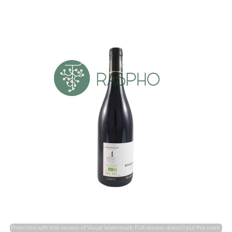 Domaine Chicotot Bourgogne Pinot Nero